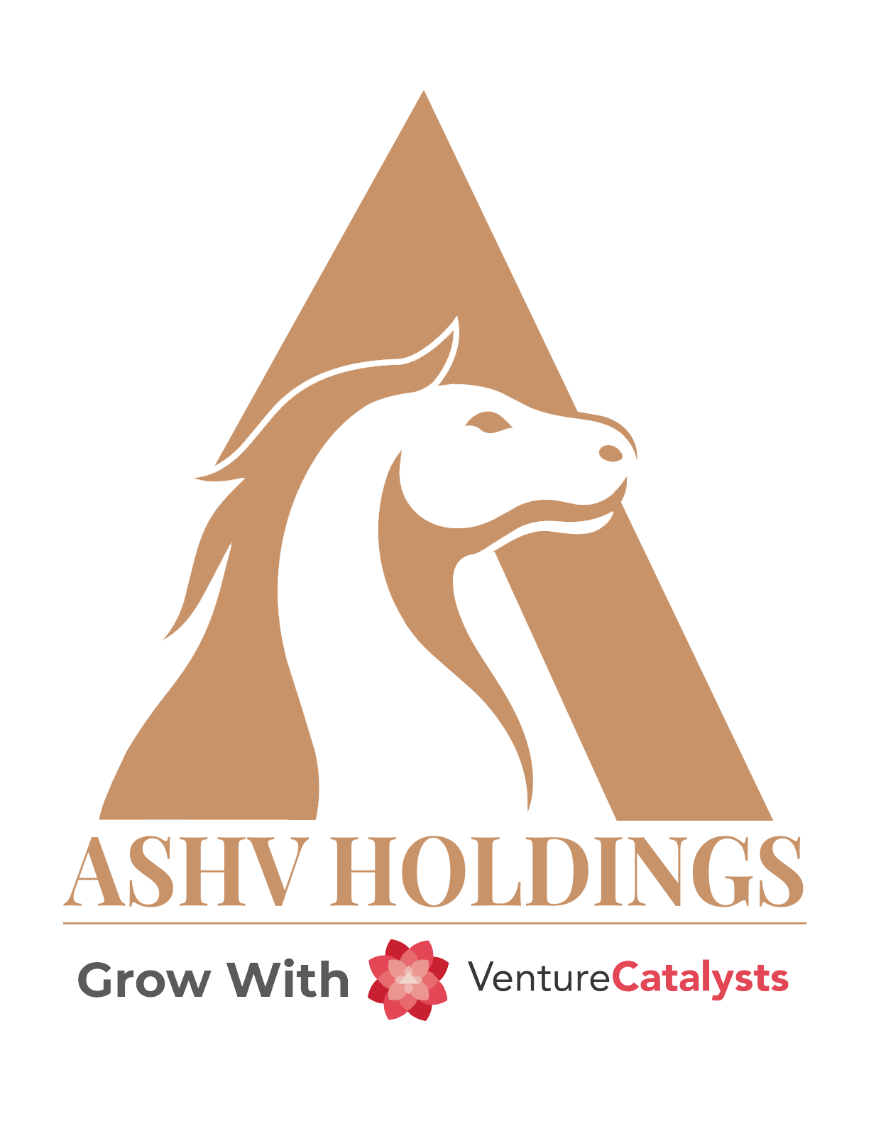 Ashv Holdings